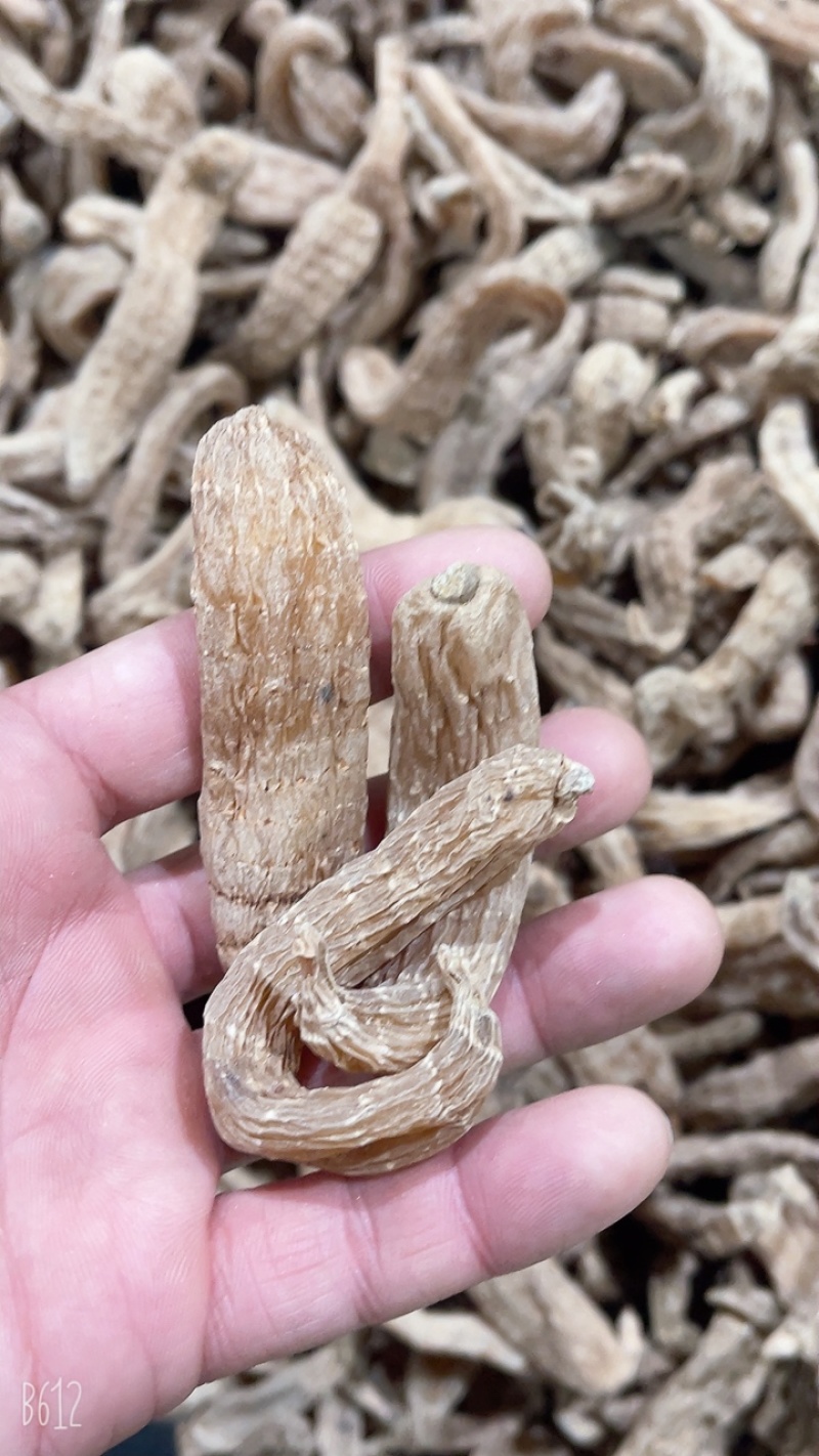 辅助神器“真人天天麻将开挂神器”(作弊)辅助透视教程-第1张图片