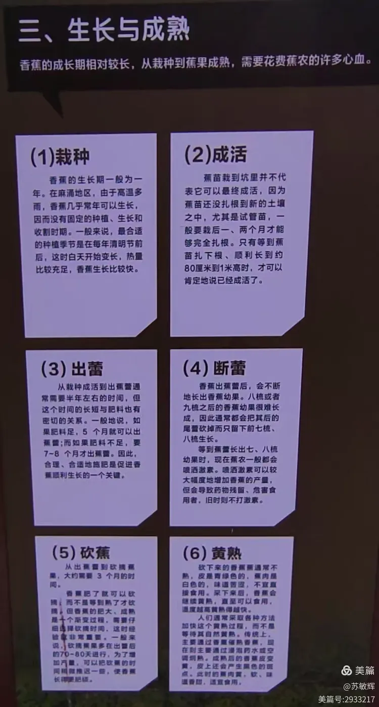 辅助神器“粤麻圈作弊图片”(作弊)辅助透视教程