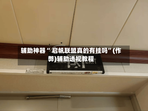 辅助神器“雀神能否作弊”(作弊)辅助透视教程-第3张图片
