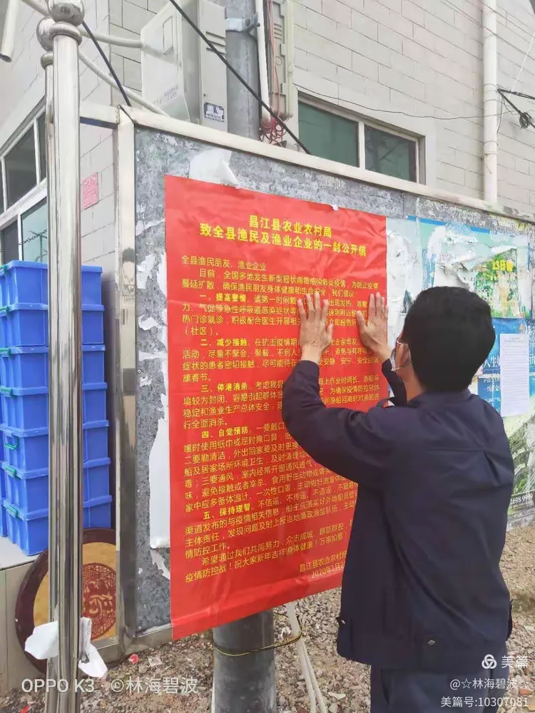 疫情帖语(疫情帖子)