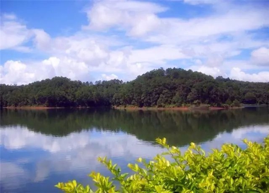 科普实测“云南山水麻将开挂免费”分享用挂教程-第2张图片