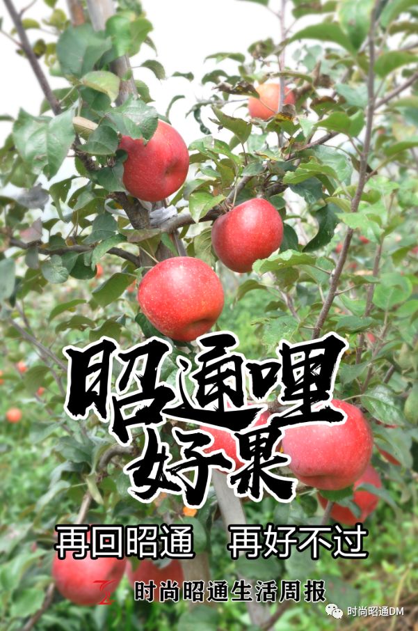 查到实测辅助“镇雄关春天控制牌怎么玩”实际有挂-第1张图片