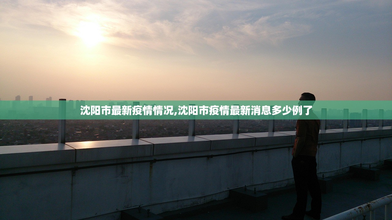 31省新增23例确诊其中本土1例〃31省新增确诊11例 其中本土2例