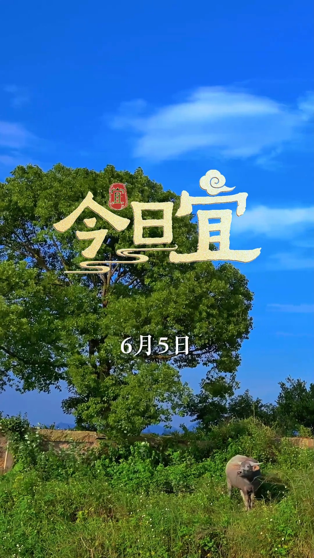 今日分享“微扑克辅助器有用吗”(真的有挂)-第1张图片