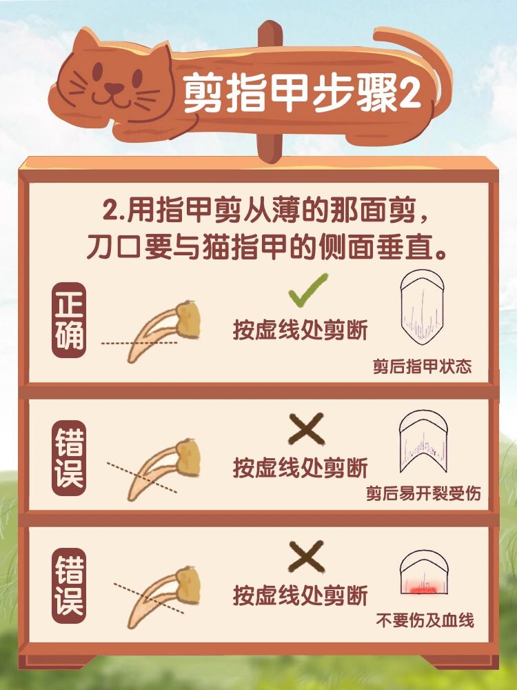 分享干货“斗斗十三水哪个时段有好牌”(其实有挂)