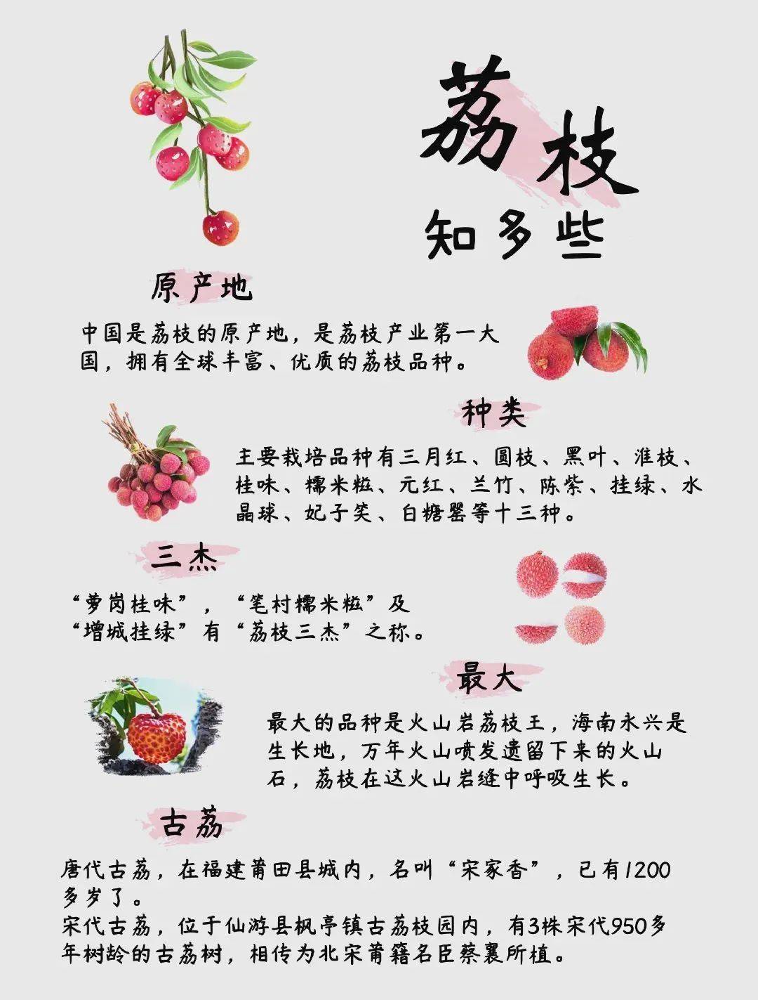 必看教程“荔枝竞技辅助器使用”分享装挂步骤-第2张图片