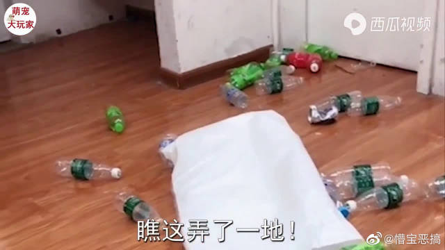 辅助教程分享“福建大玩家如何开挂”(曝光透视必备猫腻)