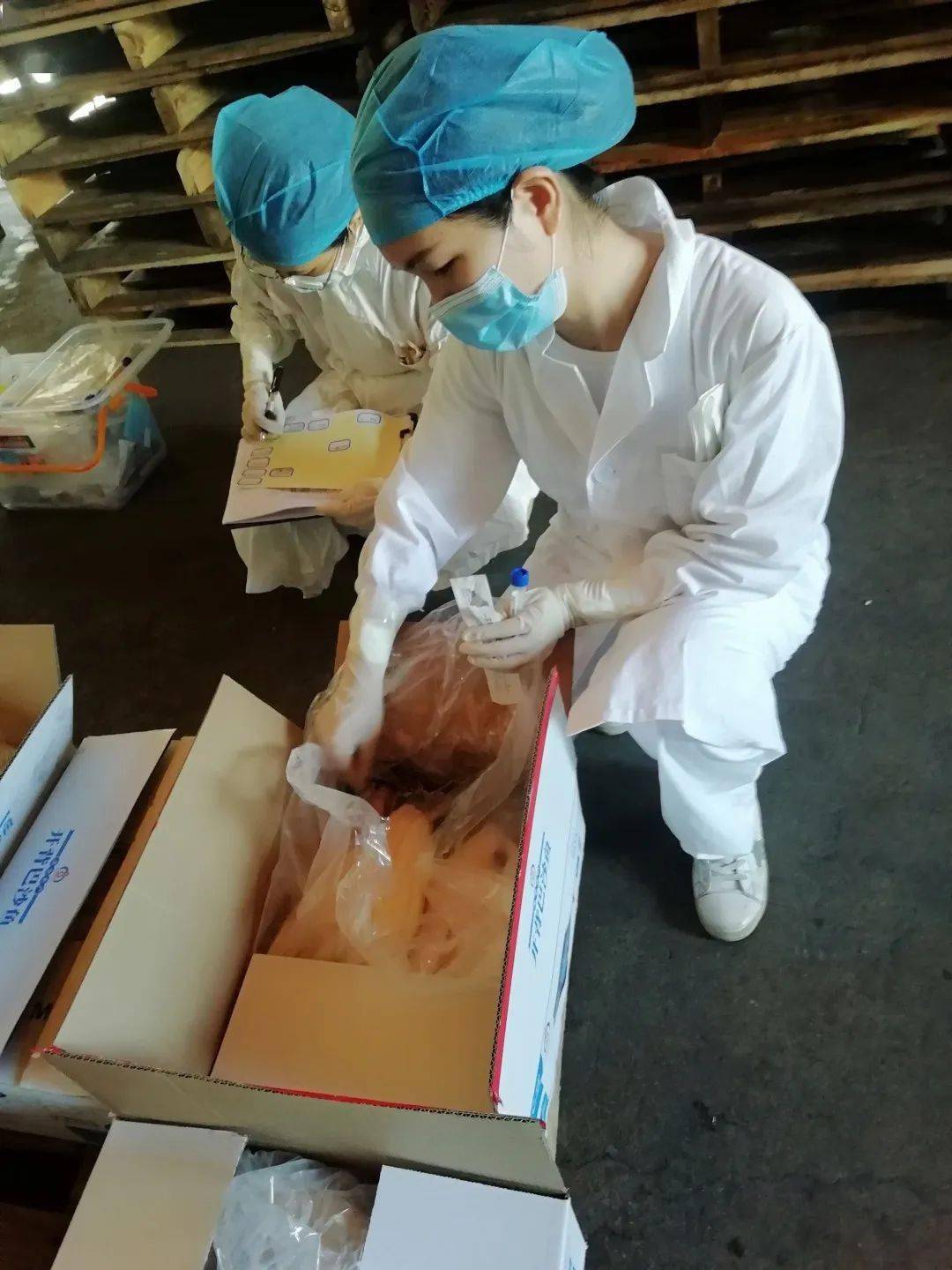 湛江市疫情最新情况(湛江市疫情最新数据消息)-第2张图片