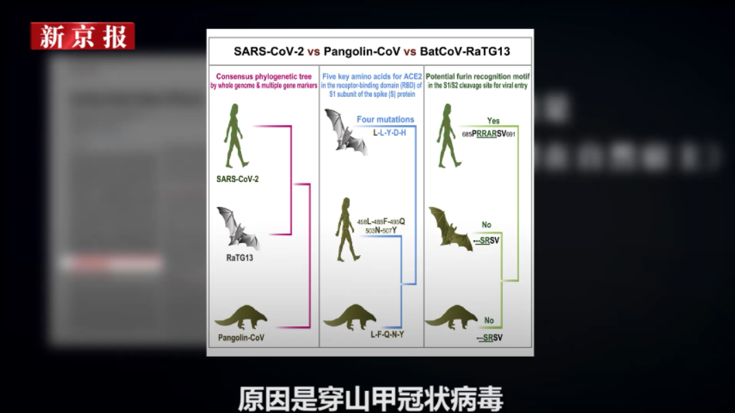 天津新增病例病毒溯源结果〃天津新增本土病例溯源结果-第3张图片