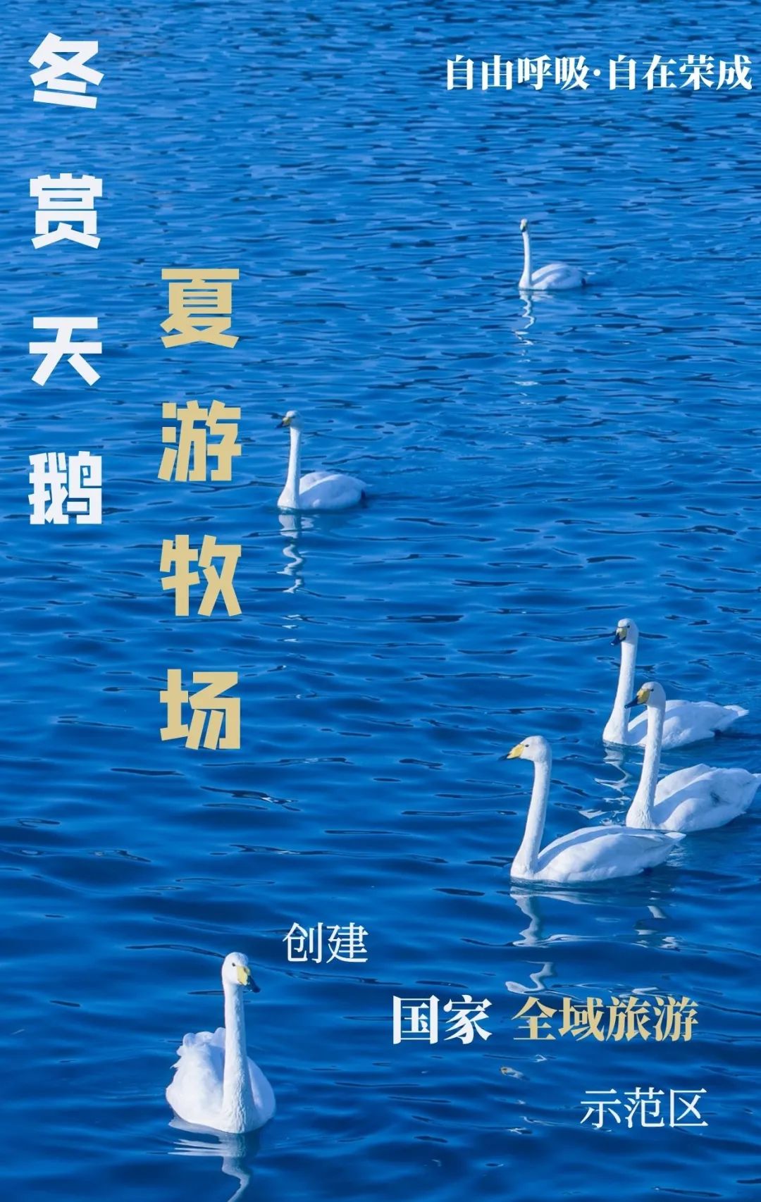 【青岛确诊病例是哪里的,青岛确诊患者活动轨迹公布】-第3张图片