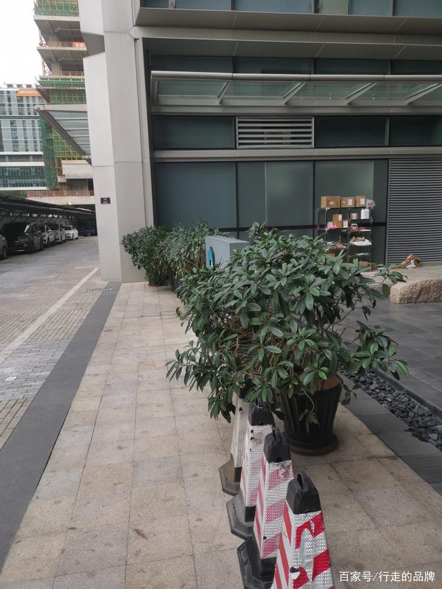 【深圳全市社区小区等封闭式管理,深圳开始封闭社区】-第1张图片