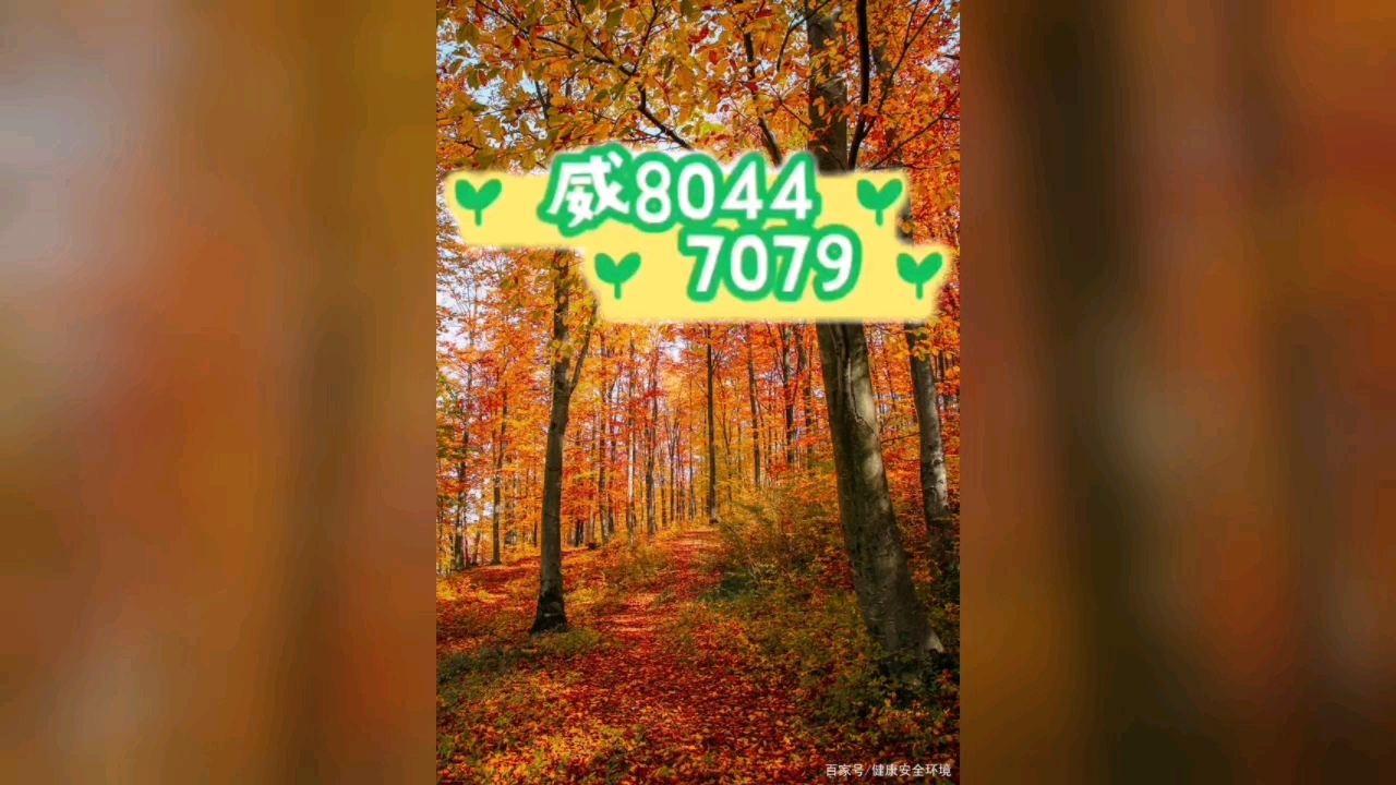 实测教程“雀神广东麻将万能开挂器”开挂(透视)辅助教程-第1张图片