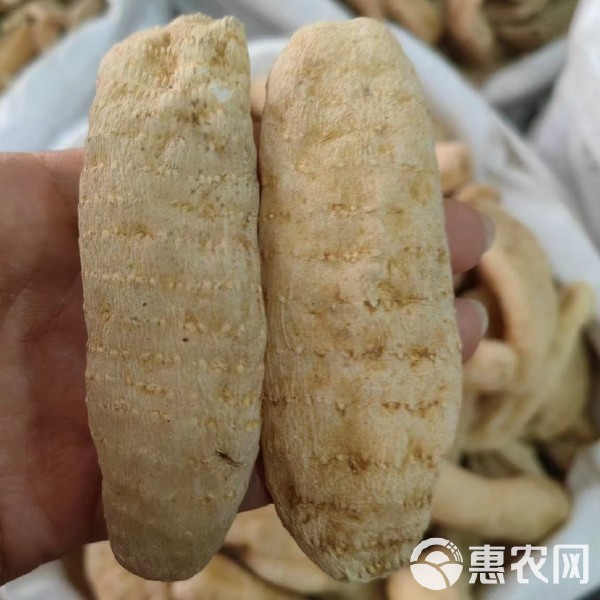 辅助神器“天天麻将开挂会封号吗”(作弊)辅助透视教程
