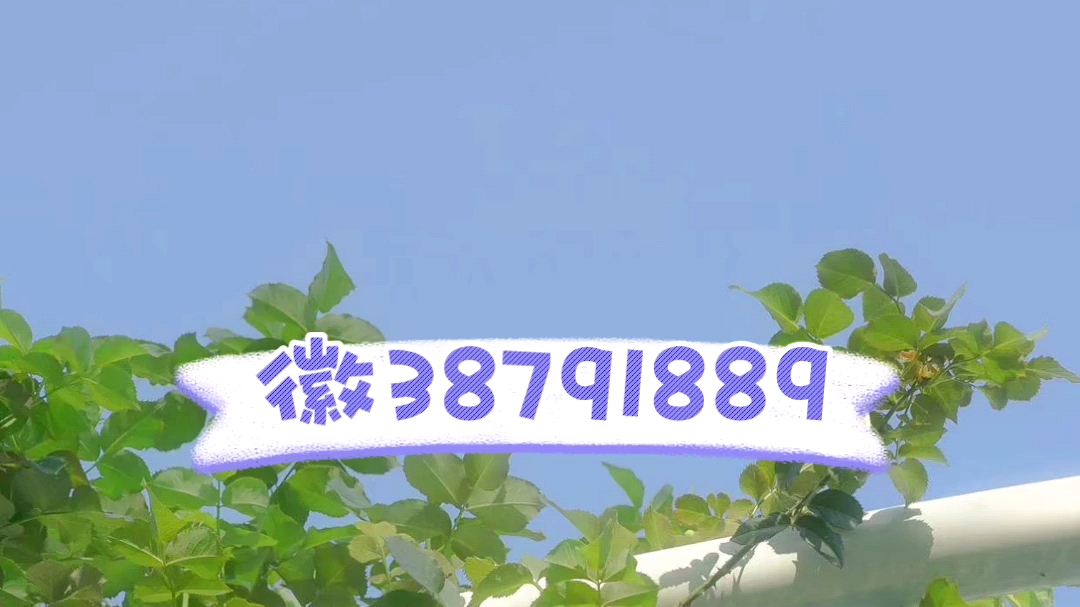 最新一款“白金岛跑得快能不能开透视挂”开挂神器{透视辅助}全揭秘-第1张图片