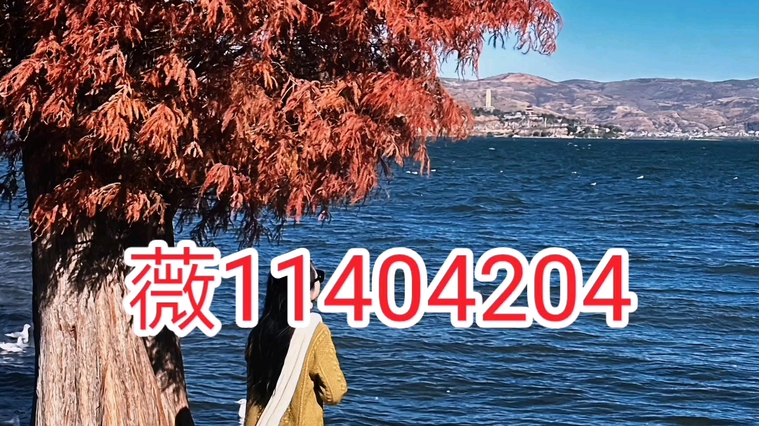 教程分享“hhpoker透视挂作弊辅助	”开挂(透视)辅助神器
