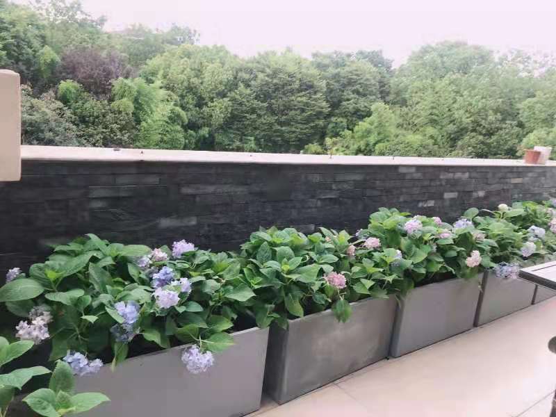 辅助神器“海贝之城有挂吗”详细分享装挂步骤教程-第2张图片