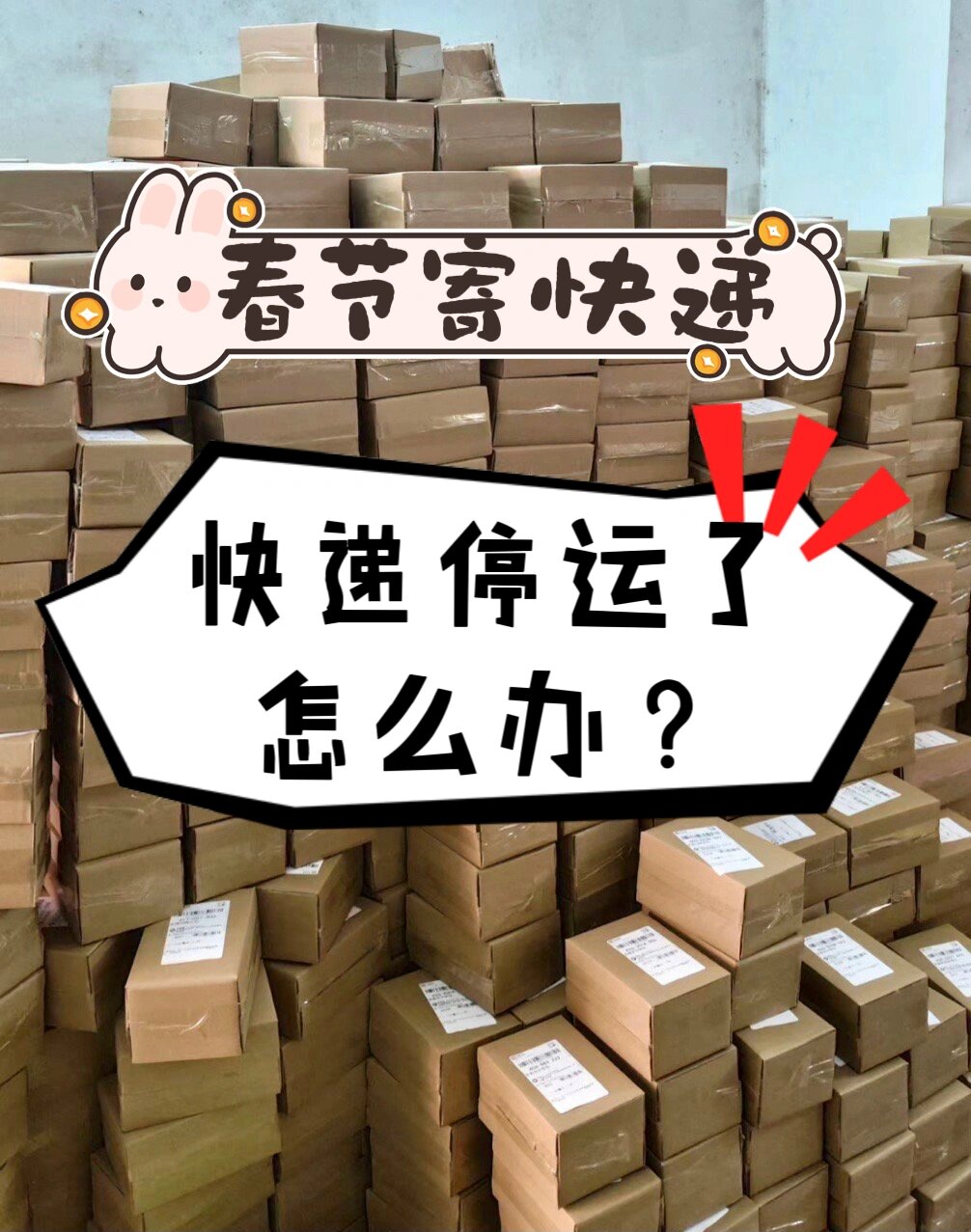快递停运通知(快递停运通知8月)-第3张图片