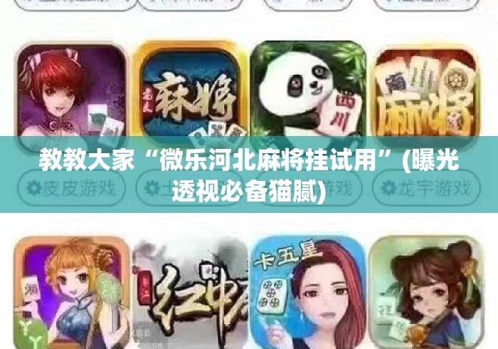 真实辅助“微乐辅助器免费版”(透视挂)辅助透视教程-第1张图片