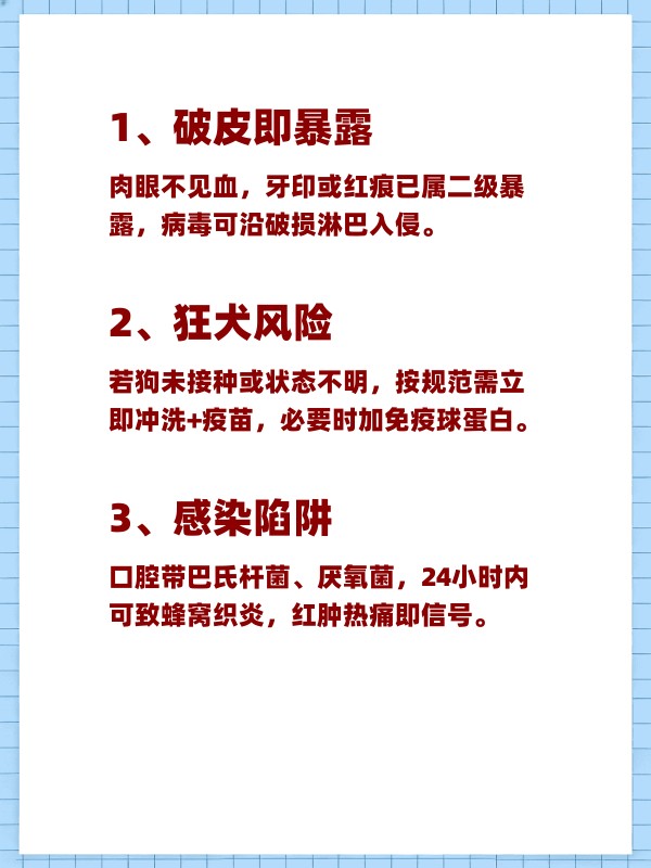 真实辅助“随意玩拼三张透视视频”详细外挂透视辅助软件教程-第2张图片