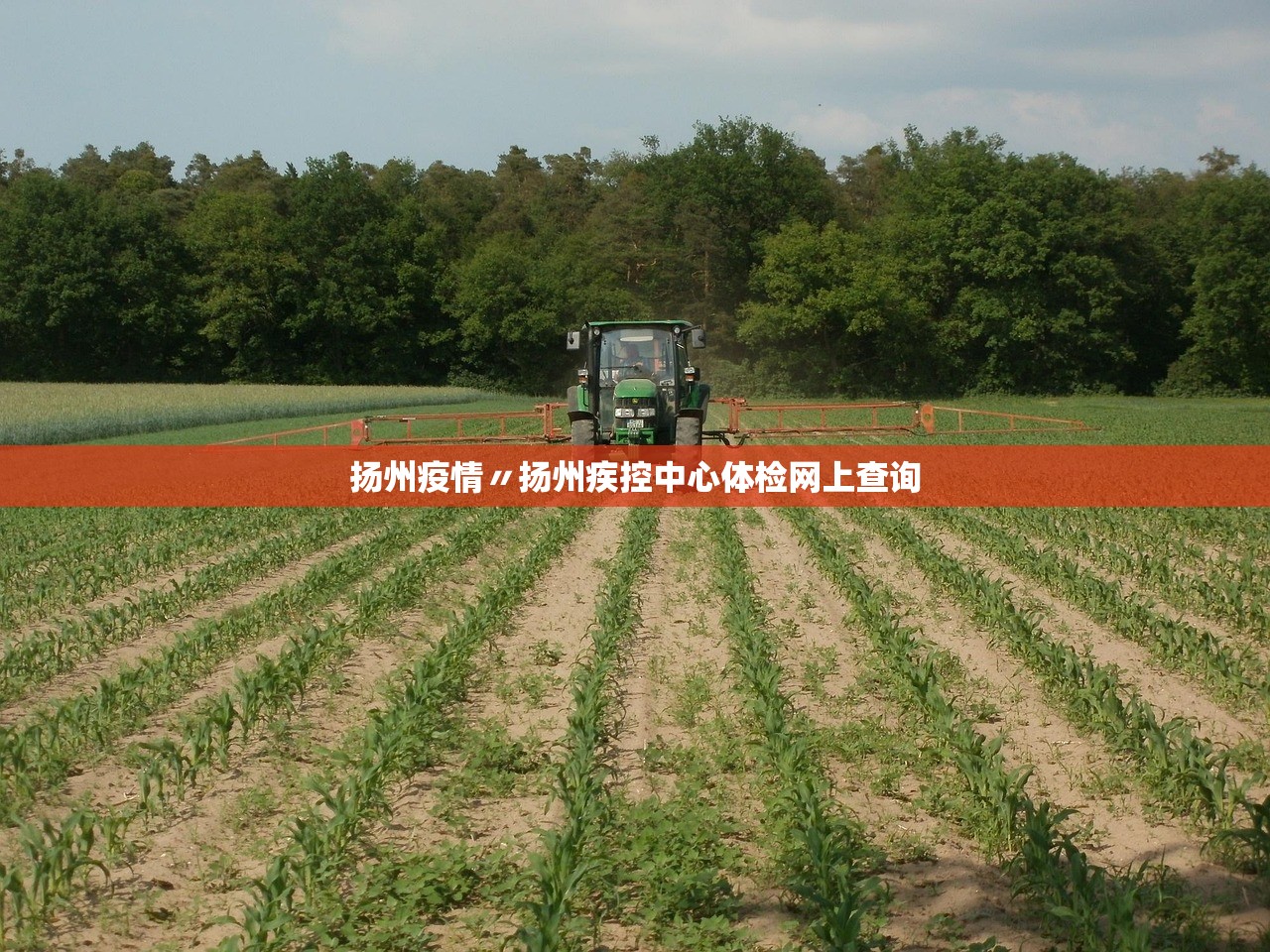 31省新增本土110例/31省新增本土61例n-第1张图片