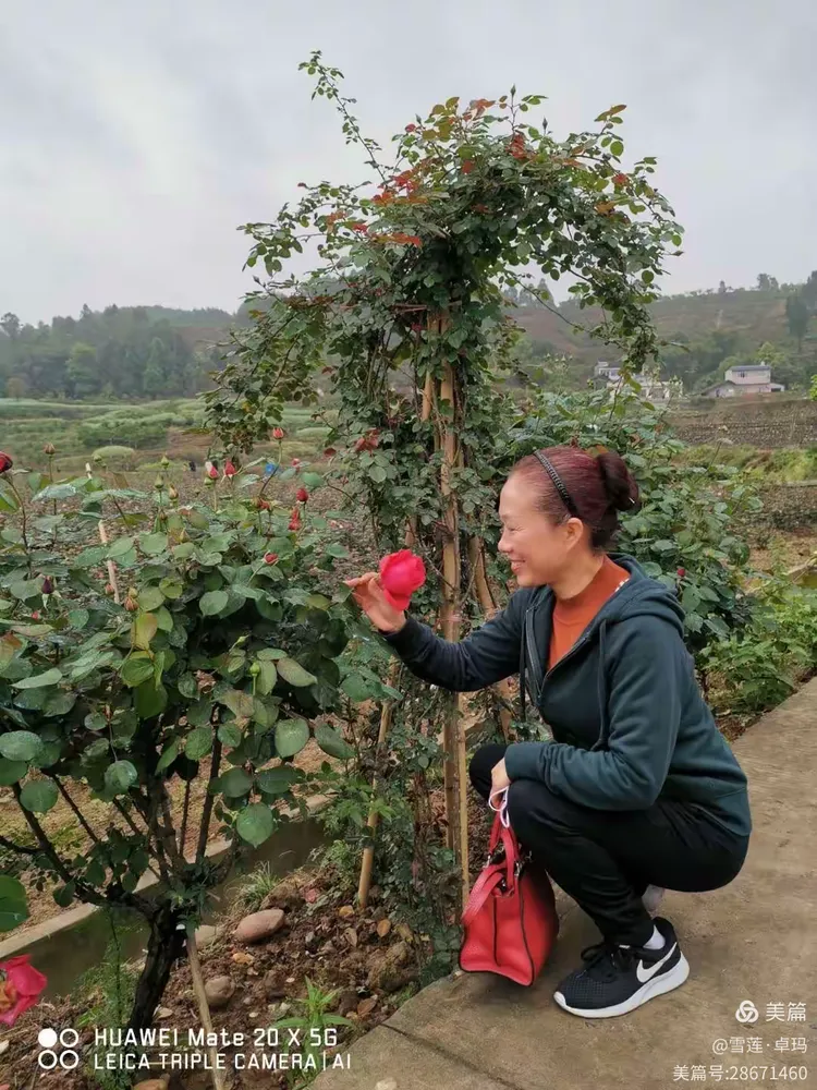辅助分享“欢聚斗地主水鱼透视免费怎么开	”(曝光透视必备猫腻)-第3张图片