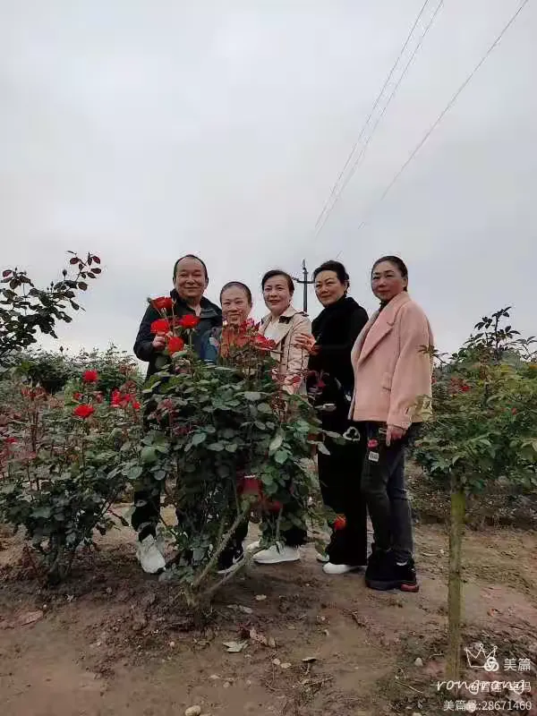 辅助分享“欢聚斗地主水鱼透视免费怎么开”(曝光透视必备猫腻)-第2张图片