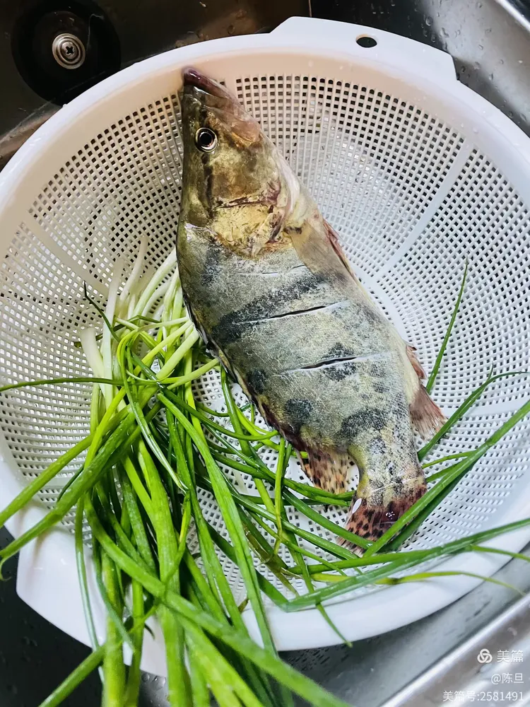 教程辅助“柚子联盟有挂吗”作弊(透视)透视辅助-第2张图片
