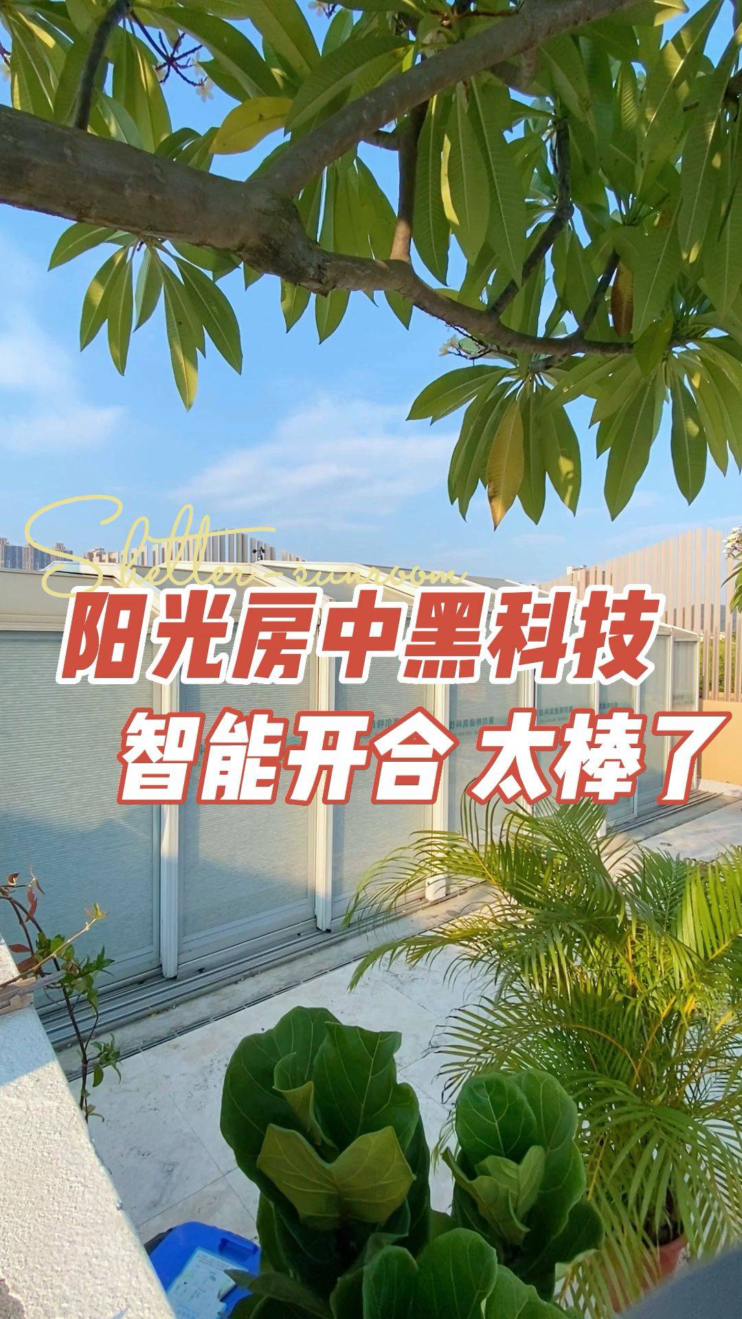 必备科技“阳光岛牌乐汇开挂怎么用	”详细辅助软件教程-第2张图片