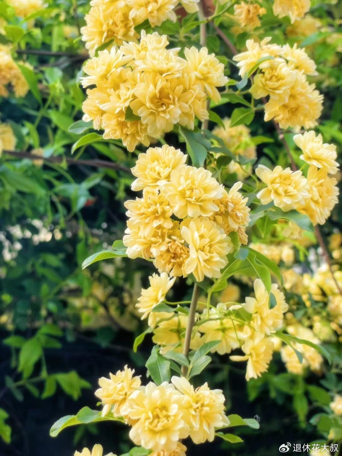 [教程经验]“金花挂先试用再付款	”(透视挂)详细用法教程-第2张图片