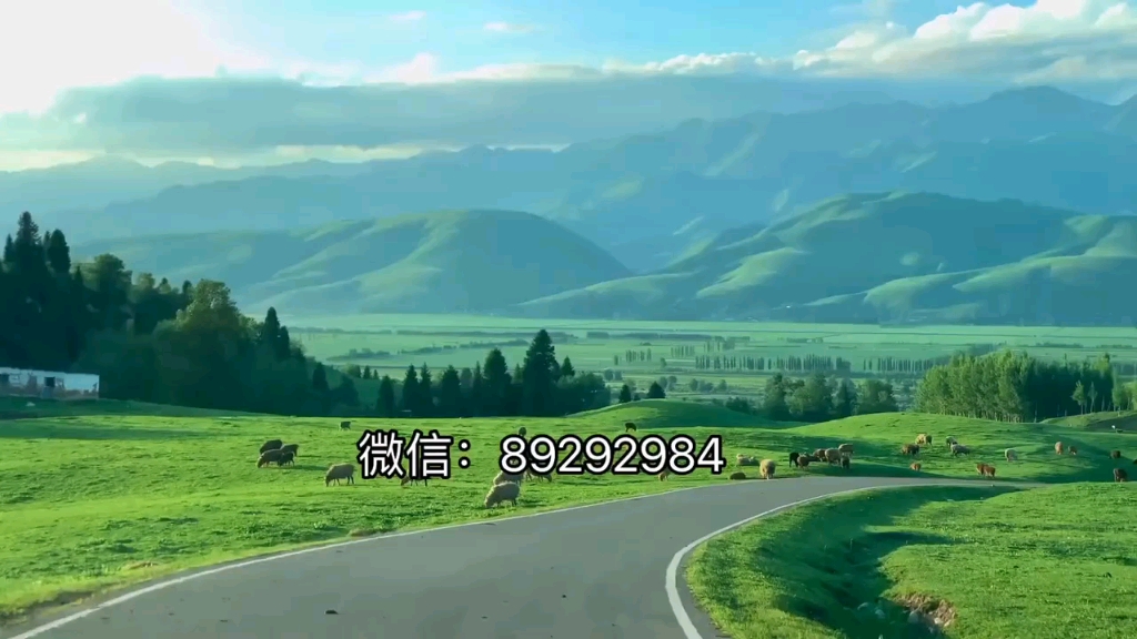 31省区市新增36例.31省区市新增103例确 31省区市新增36例.31省区市新增103例确
