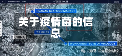 关于仇疫情的信息-第2张图片