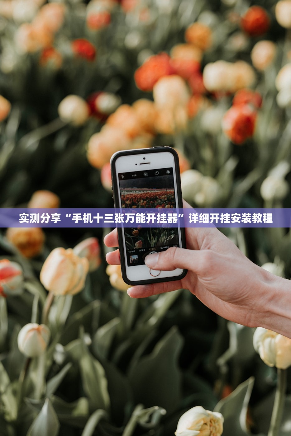 实测分享“手机十三张万能开挂器”详细开挂安装教程