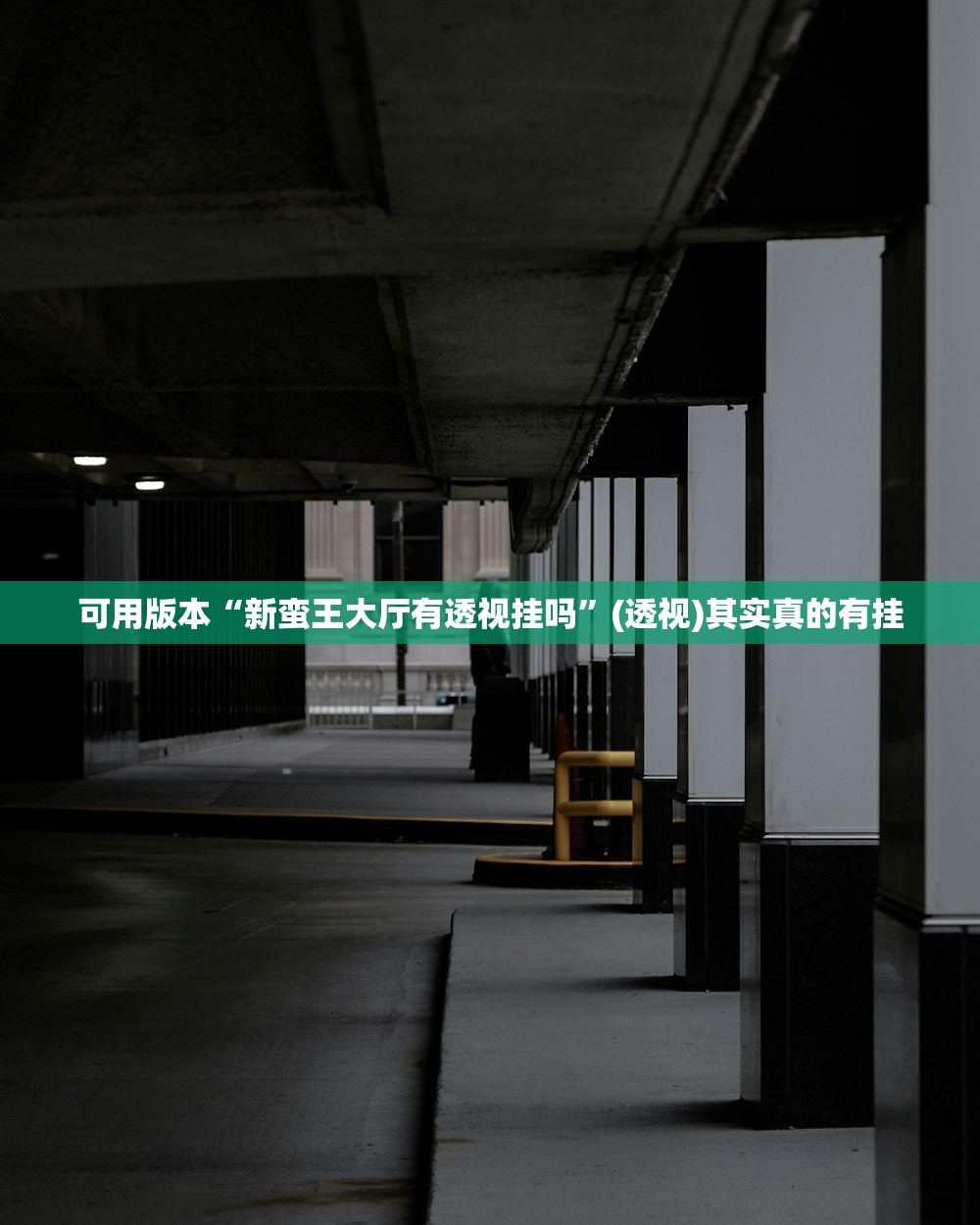可用版本“新蛮王大厅有透视挂吗	”(透视)其实真的有挂