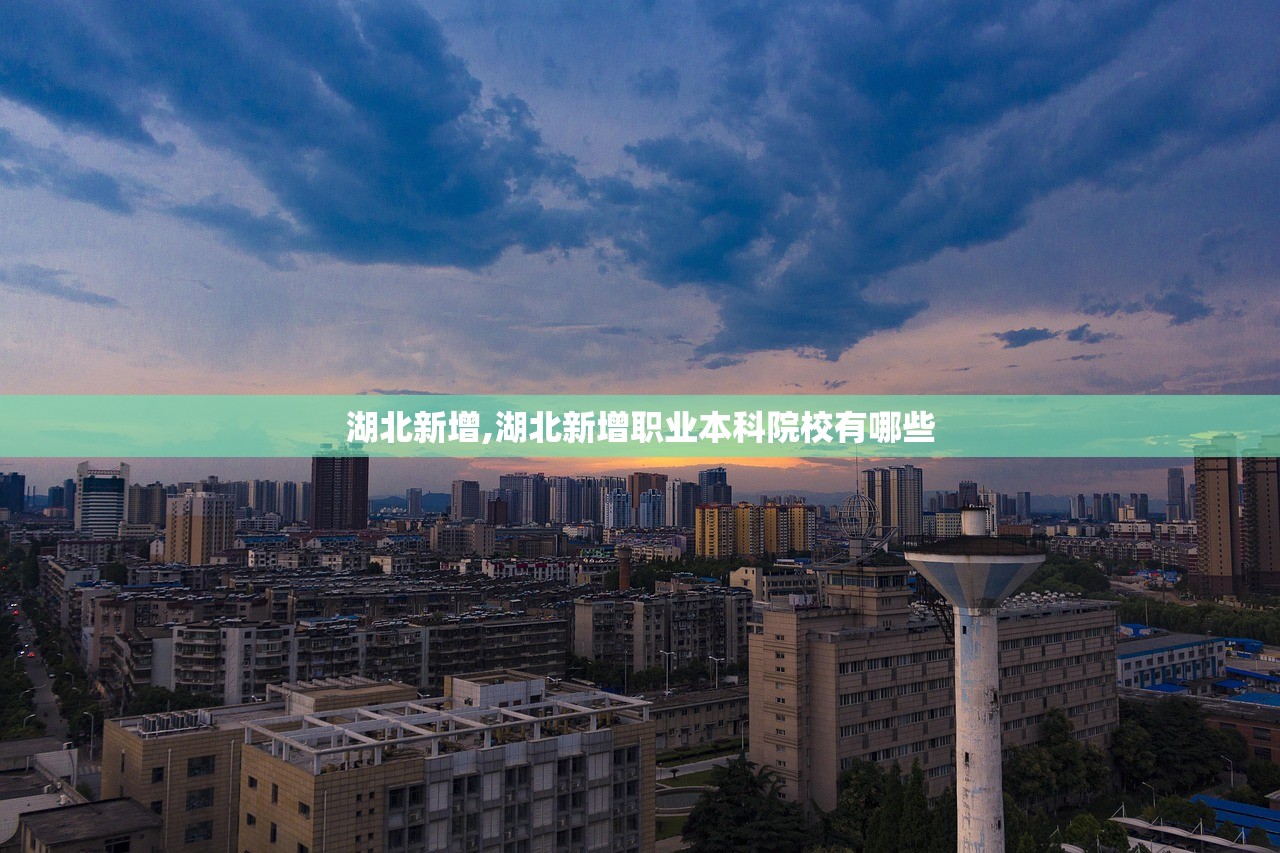 湖北新增,湖北新增职业本科院校有哪些 湖北新增,湖北新增职业本科院校有哪些