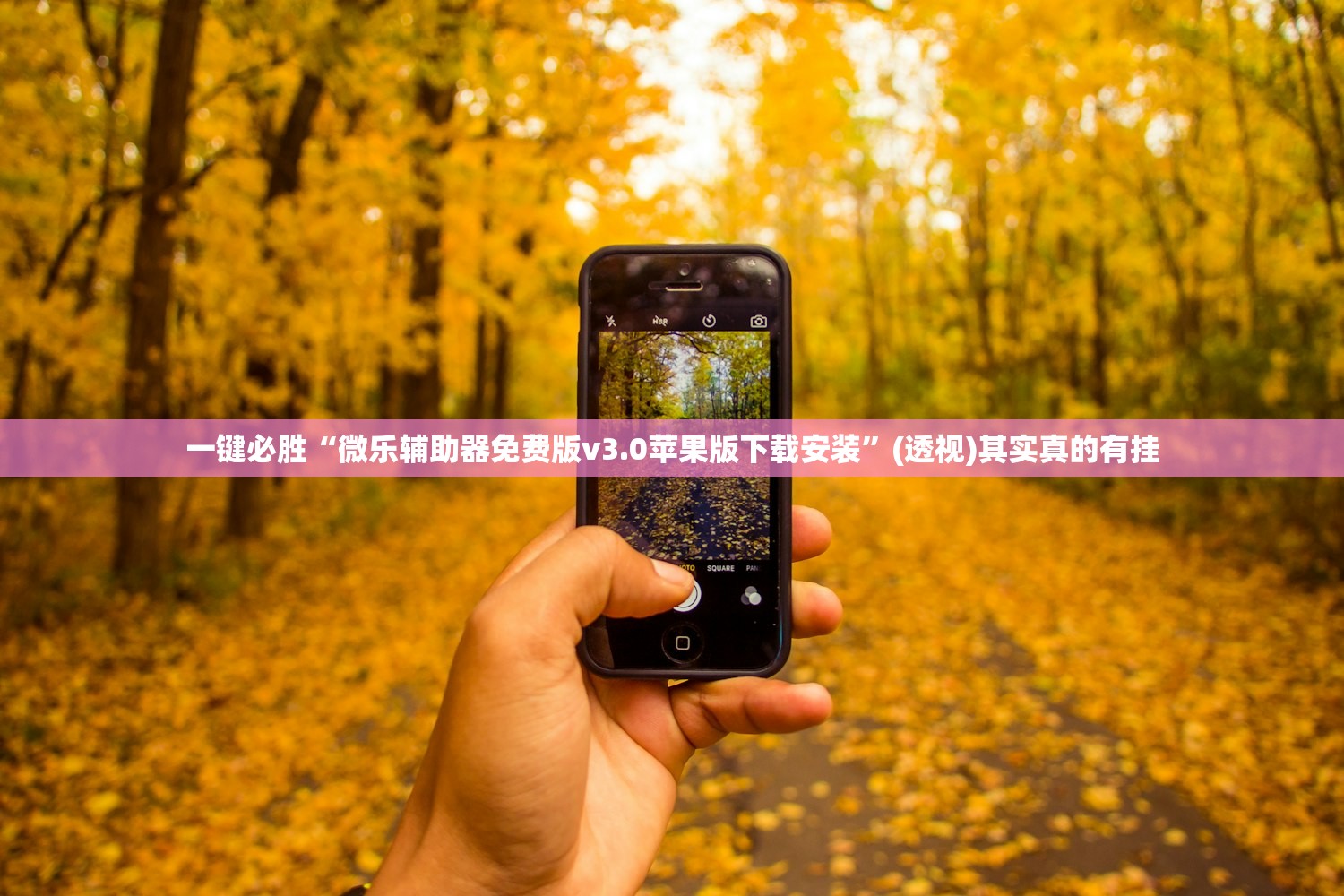 一键必胜“微乐辅助器免费版v3.0苹果版下载安装	”(透视)其实真的有挂