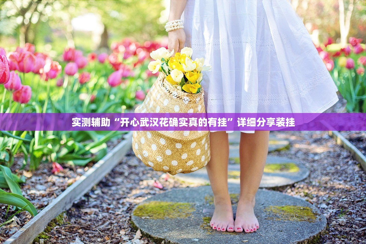 实测辅助“开心武汉花确实真的有挂”详细分享装挂