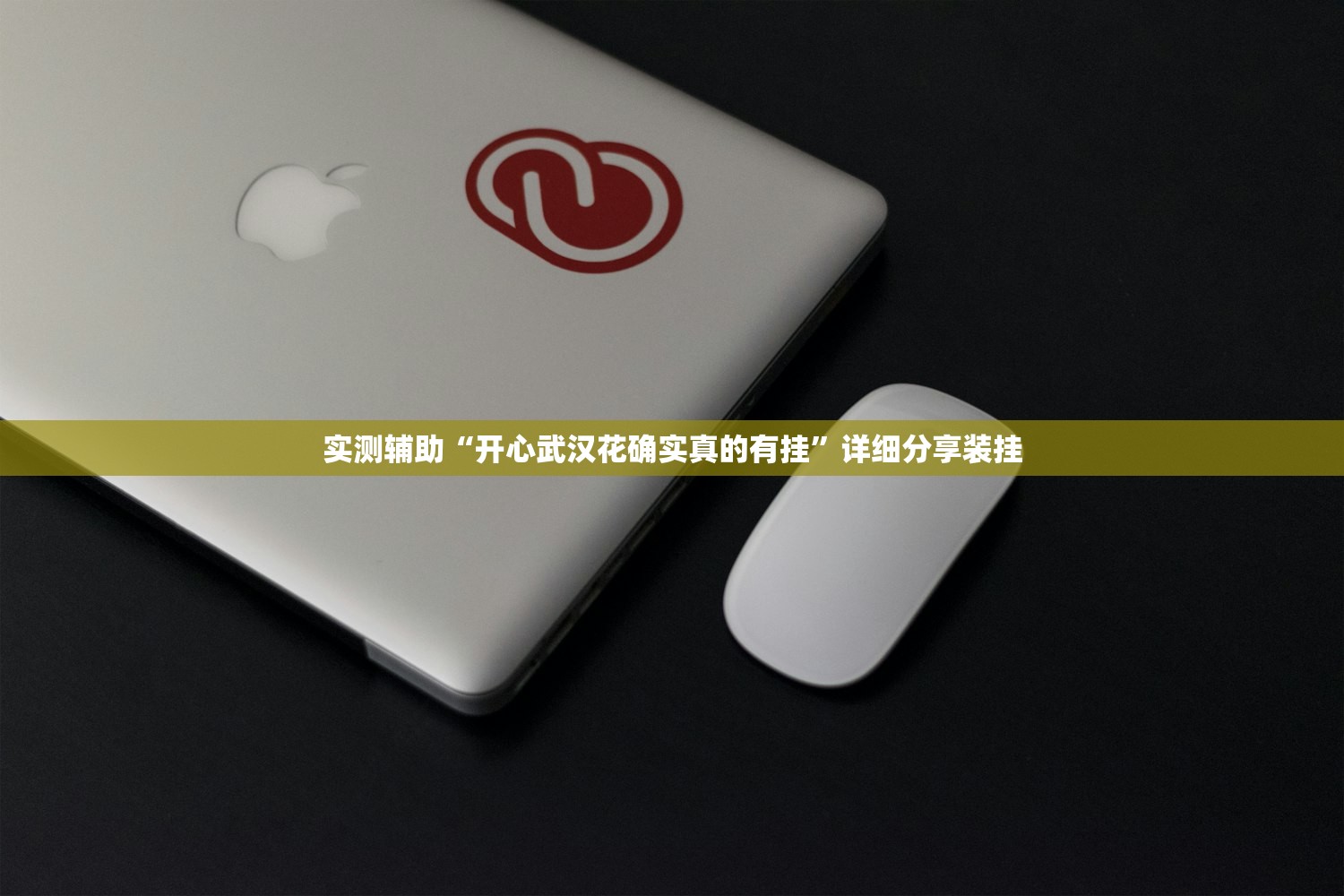实测辅助“开心武汉花确实真的有挂”详细分享装挂