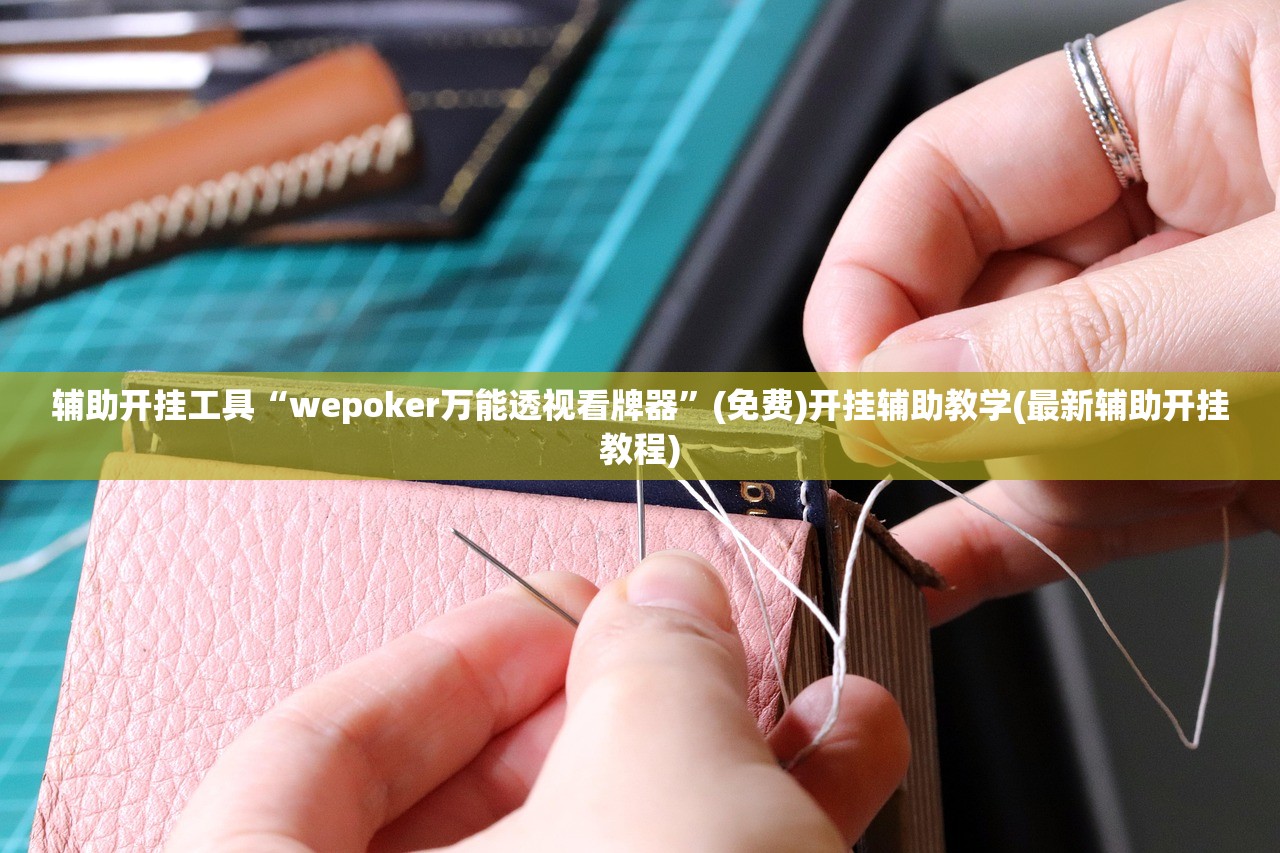 辅助开挂工具“wepoker万能透视看牌器”(免费)开挂辅助教学(最新辅助开挂教程)