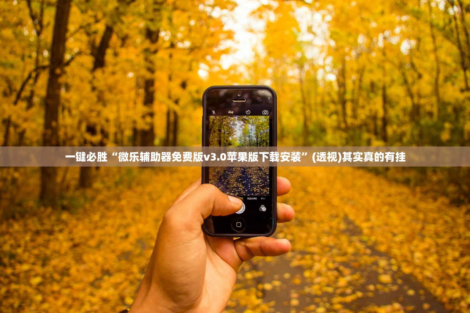 一键必胜“微乐辅助器免费版v3.0苹果版下载安装”(透视)其实真的有挂