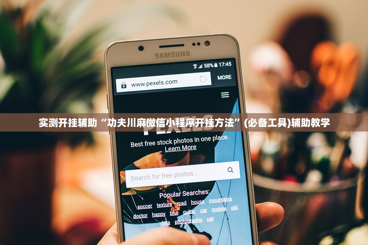 实测开挂辅助“功夫川麻微信小程序开挂方法”(必备工具)辅助教学